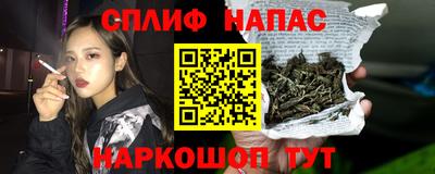 спиды Краснодар