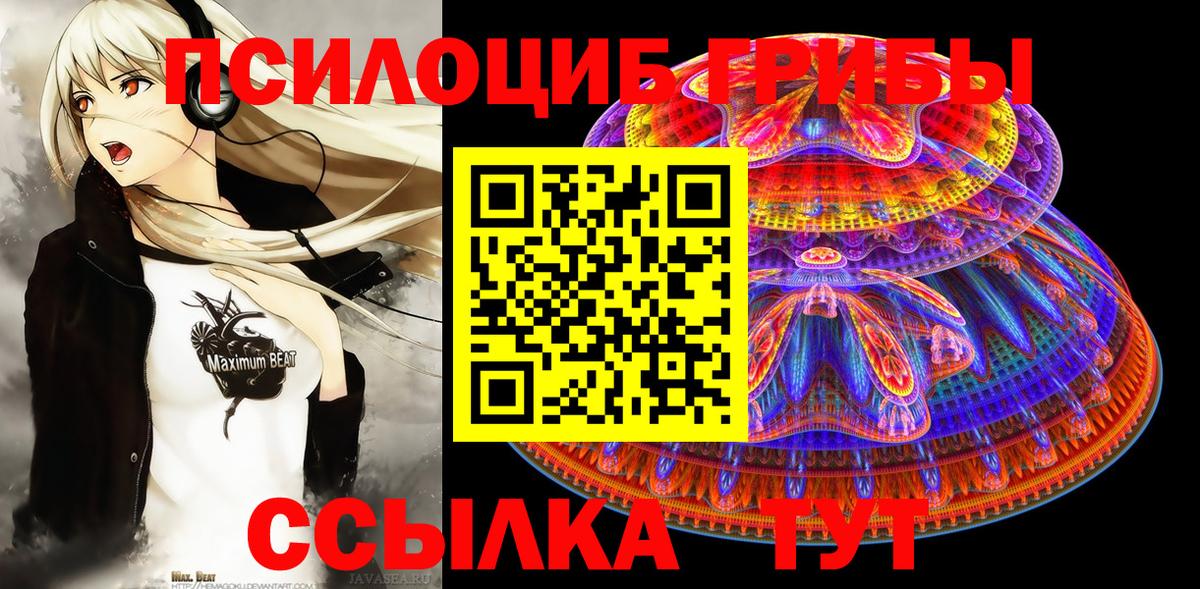 Галлюциногенные грибы Magic Shrooms Елец