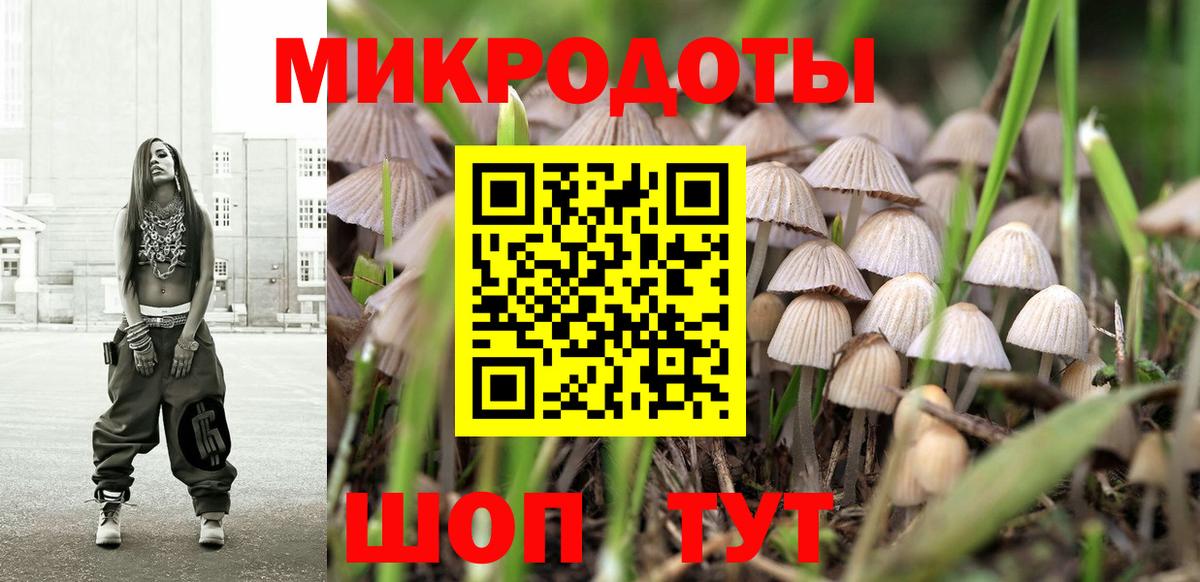 Псилоцибиновые грибы GOLDEN TEACHER  цена наркотик  Елец  Вход с VPN 